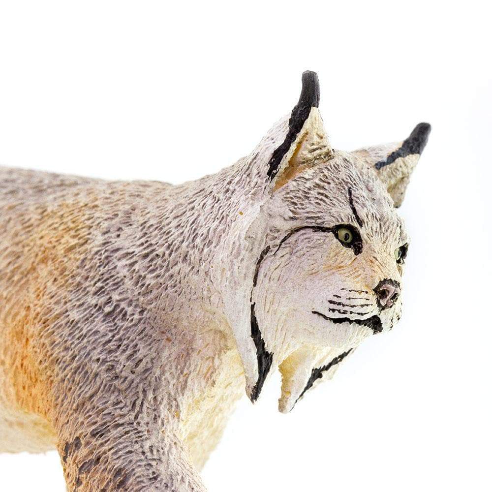 Lynx Toy