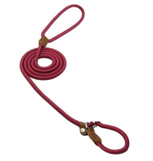 Ensemble Chiot Nylon