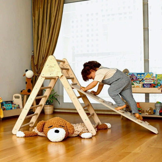 Climbing Triangle and Ramp Set 2-in-1-0